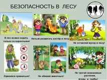 БЕЗОПАСНОСТЬ В ЛЕСУ